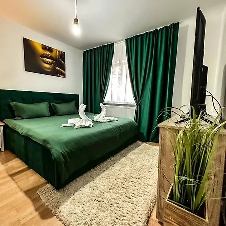 Zara's Apartment Petrosani