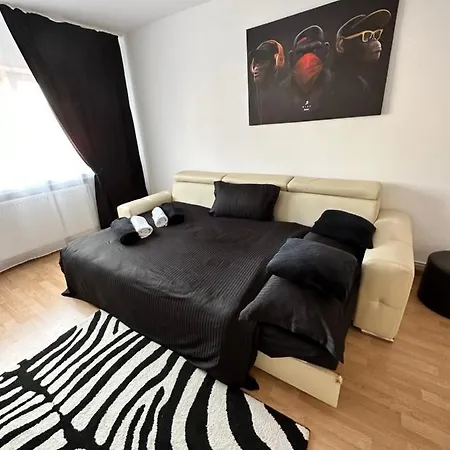 Zara's Apartment Petrosani