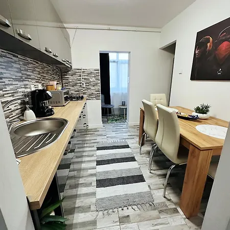 Zara's Apartment Petrosani